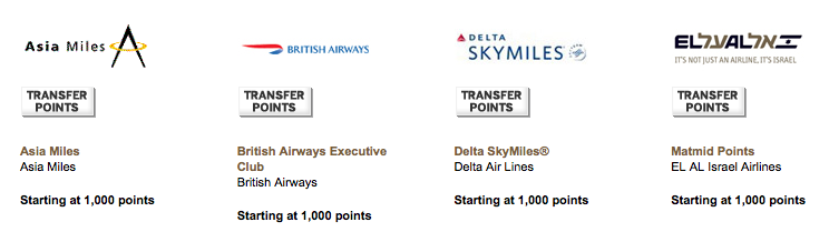 American Express Travel Partners