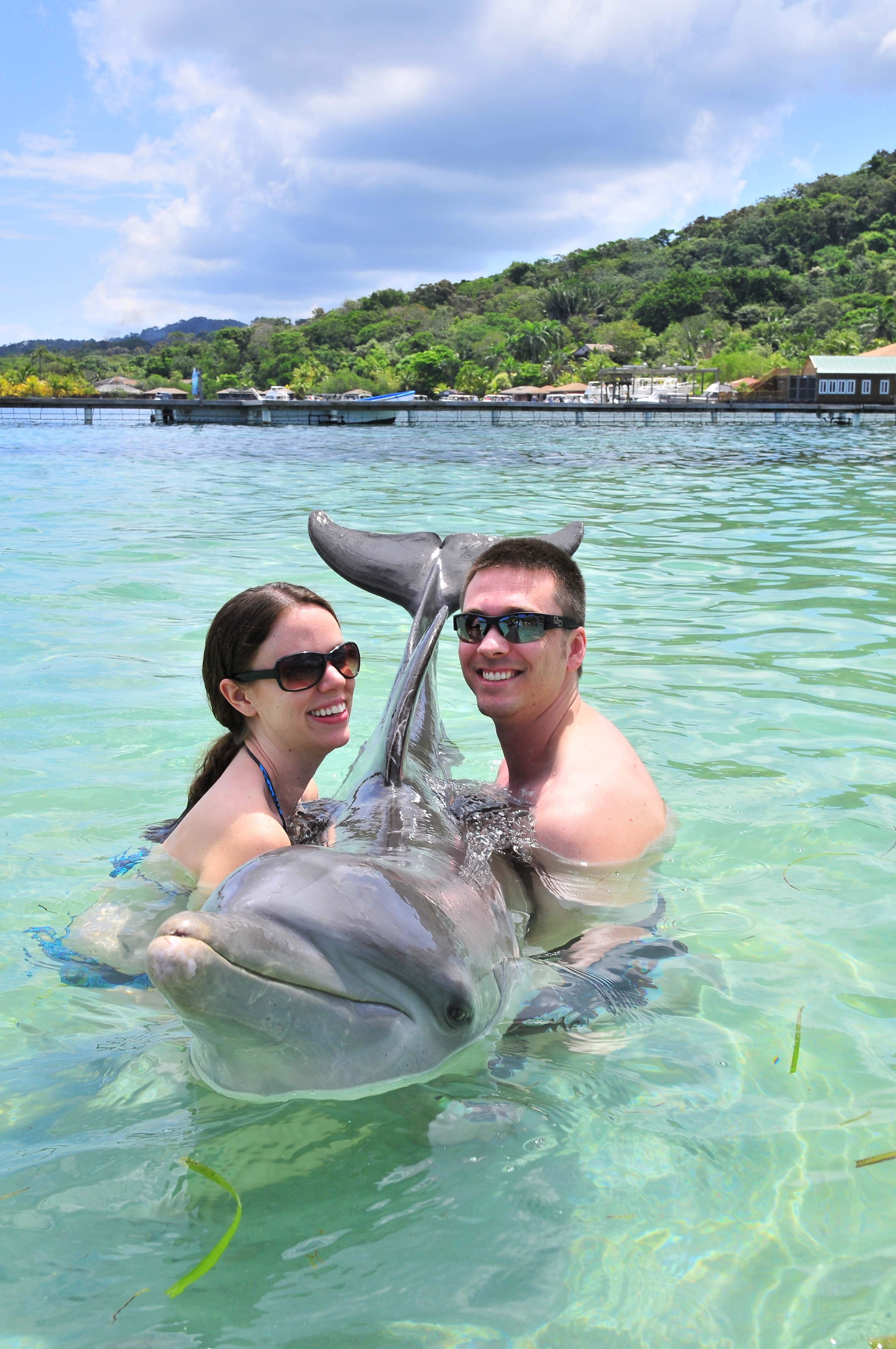 Roaton Honduras Dolphins